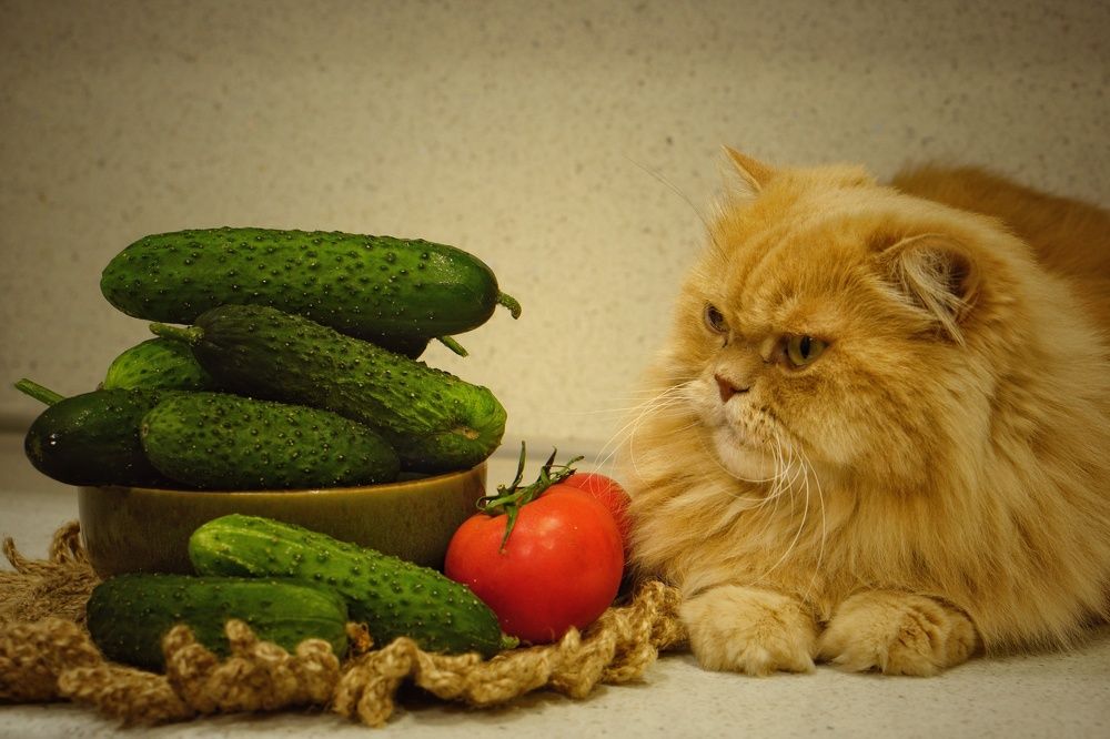 Photograph by Okcana Ryzhikh