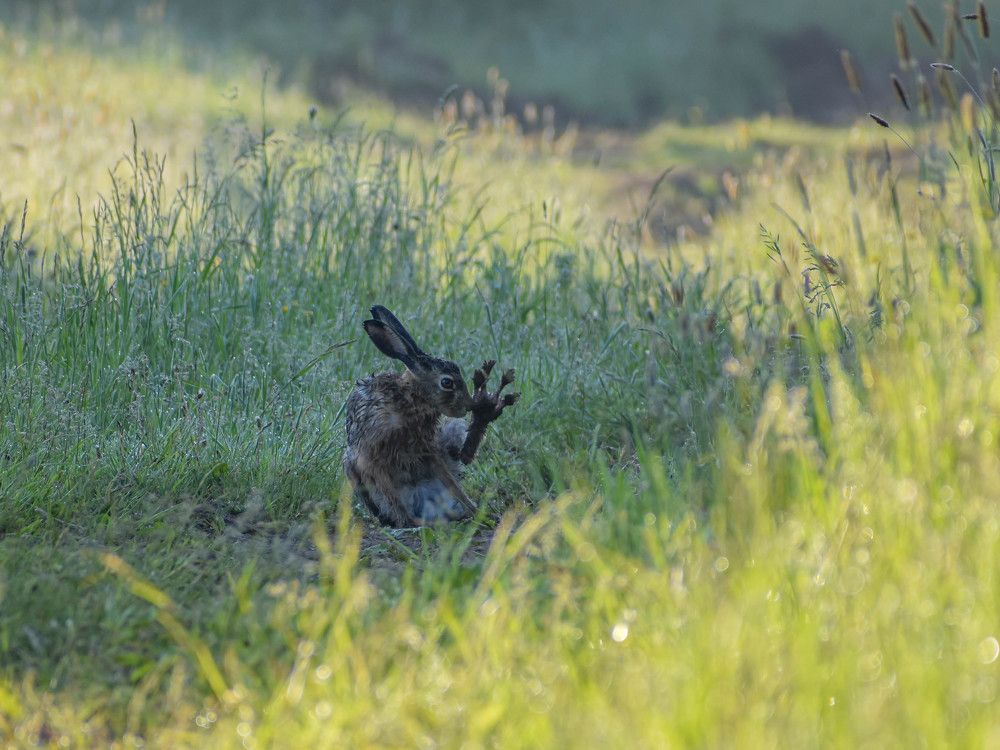 Photograph by Евгений
