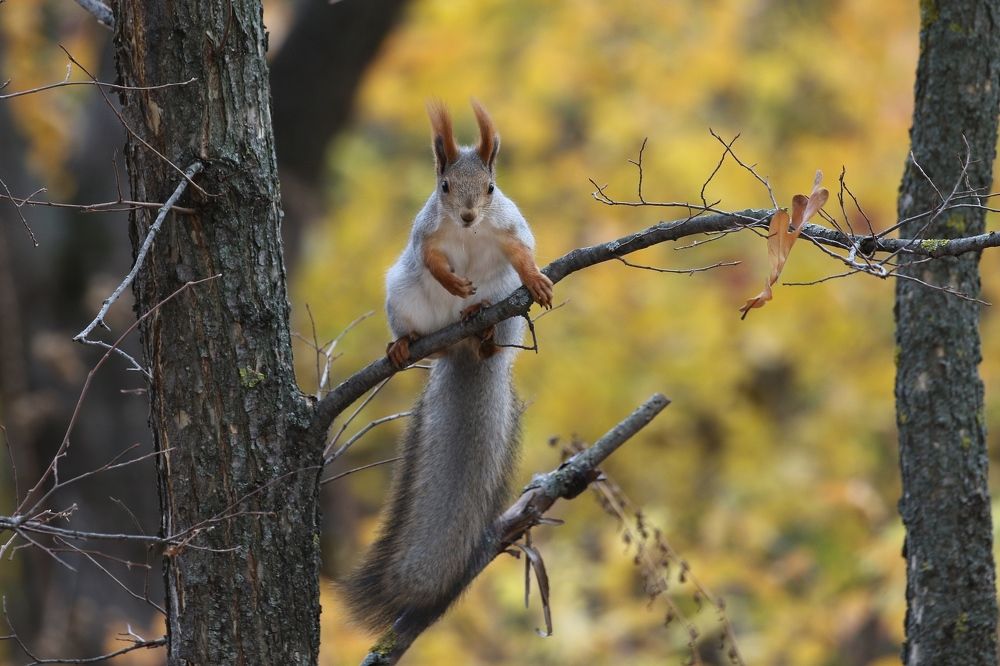 Photograph by Евгений Софронов