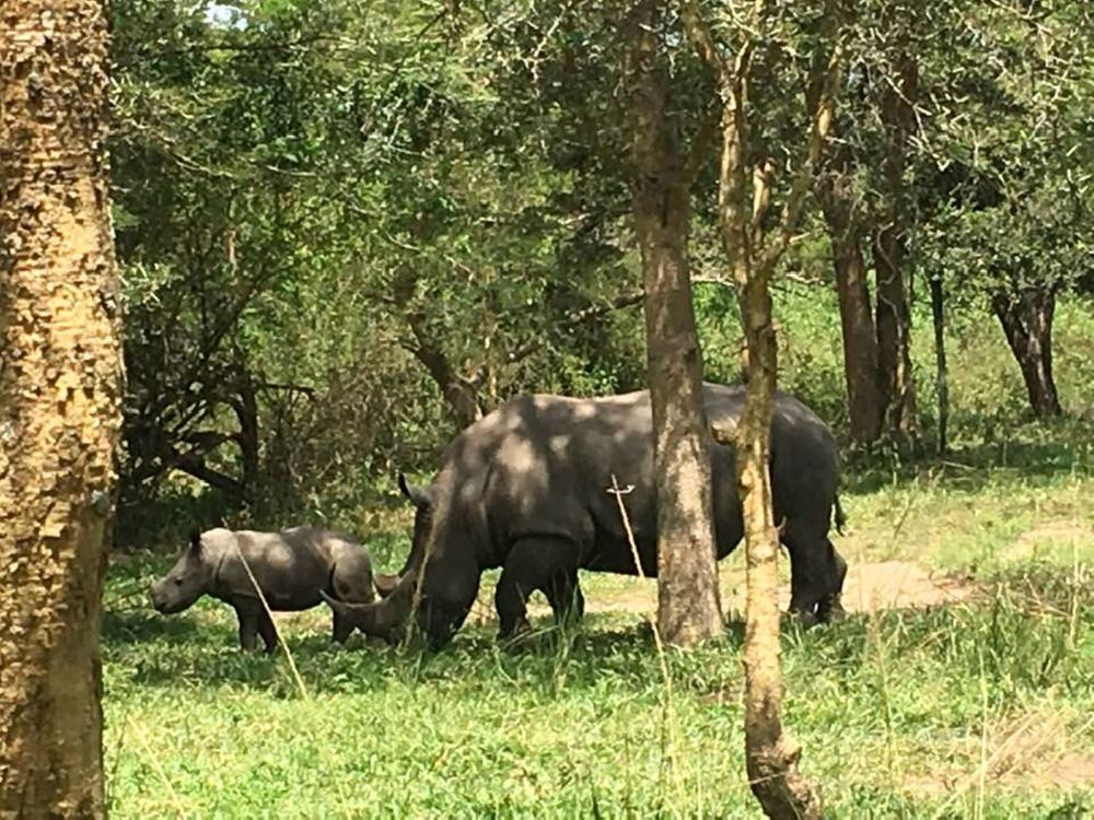 Фотография автора Slavica Gligorievska