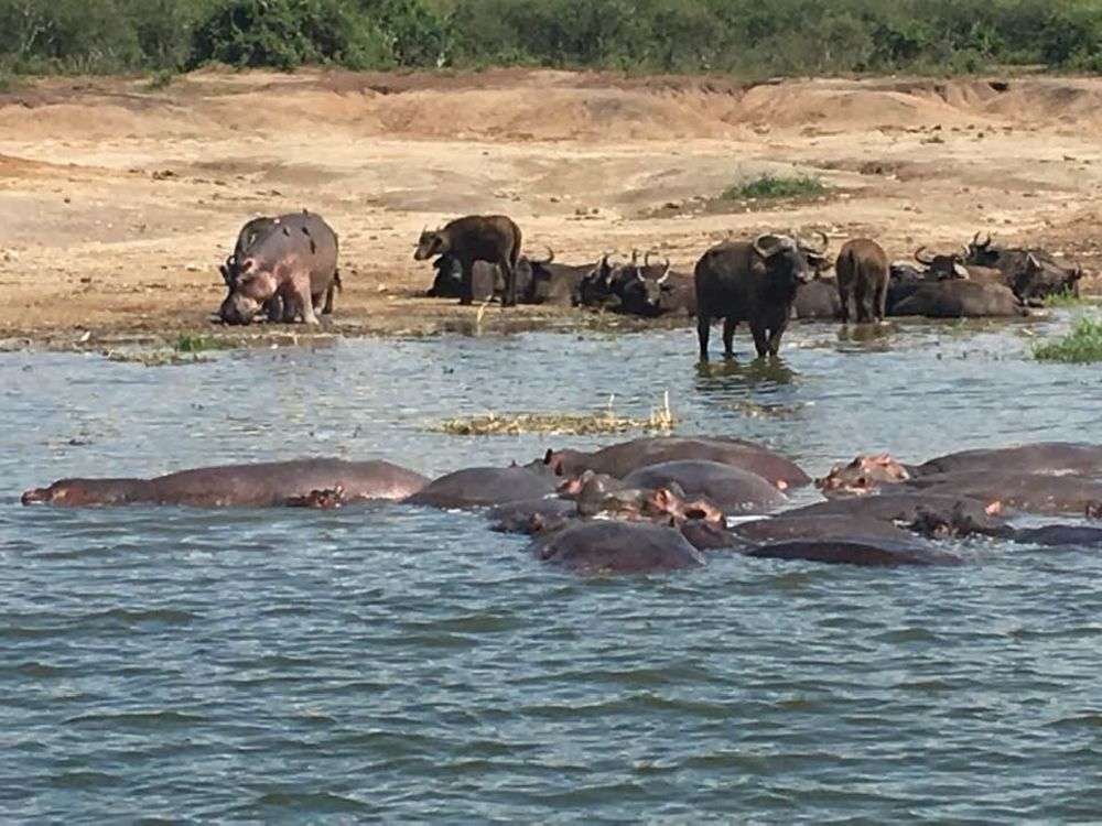 Фотография автора Slavica Gligorievska