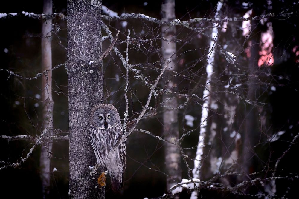 Фотография автора Martineb