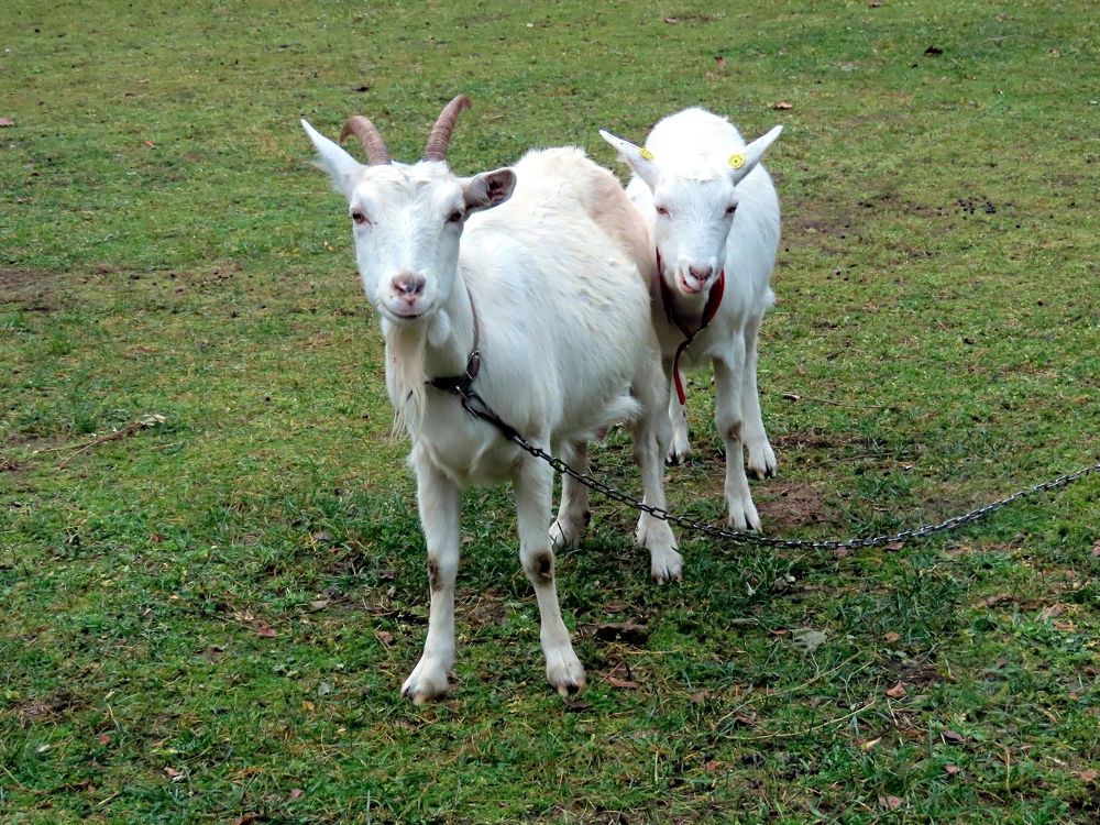 Photograph by Pjotr Alekseev