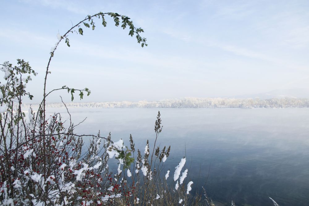 Photograph by Светлана Козлова