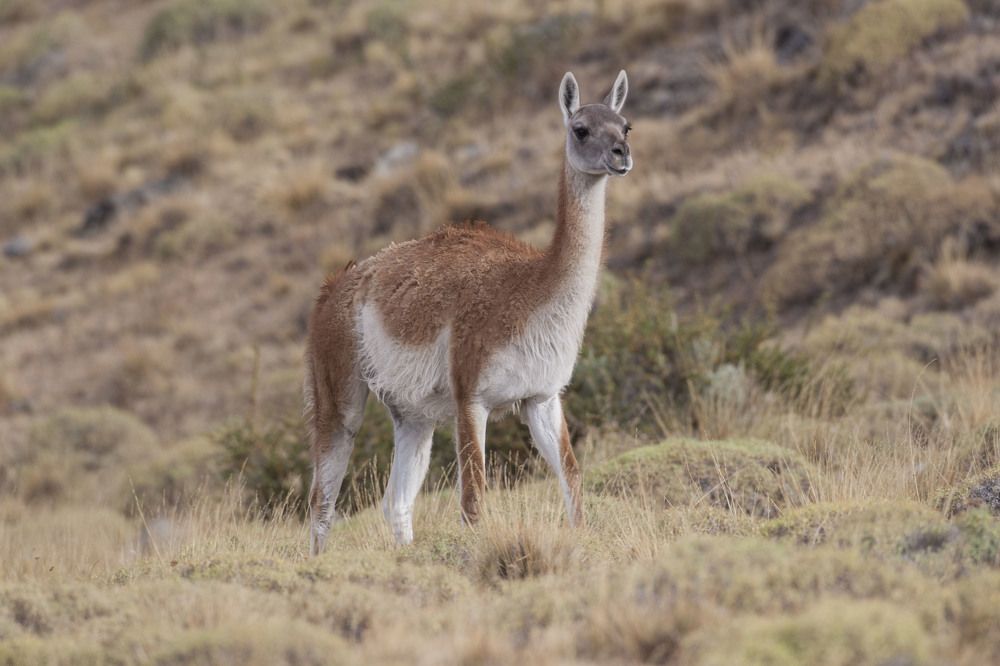 Фотография автора Oskars Smelins