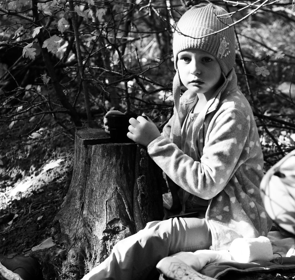 Tea in the autumn forest. (Чай в осеннем лесу.)