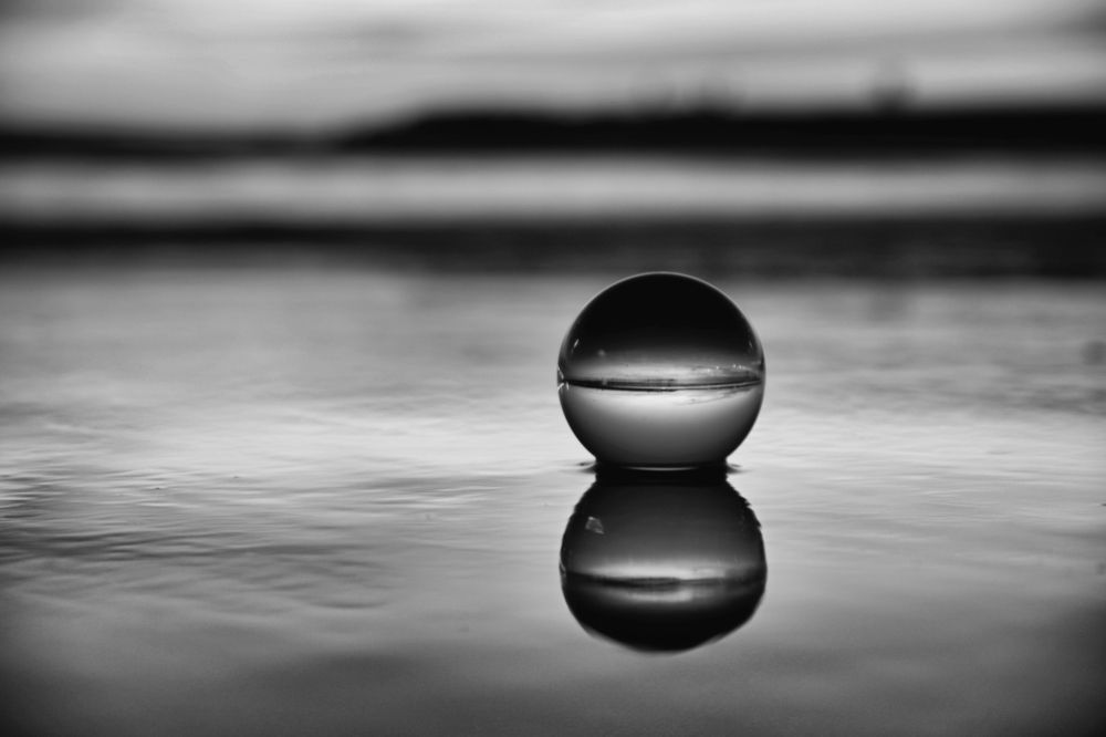 Photograph by Mário C.