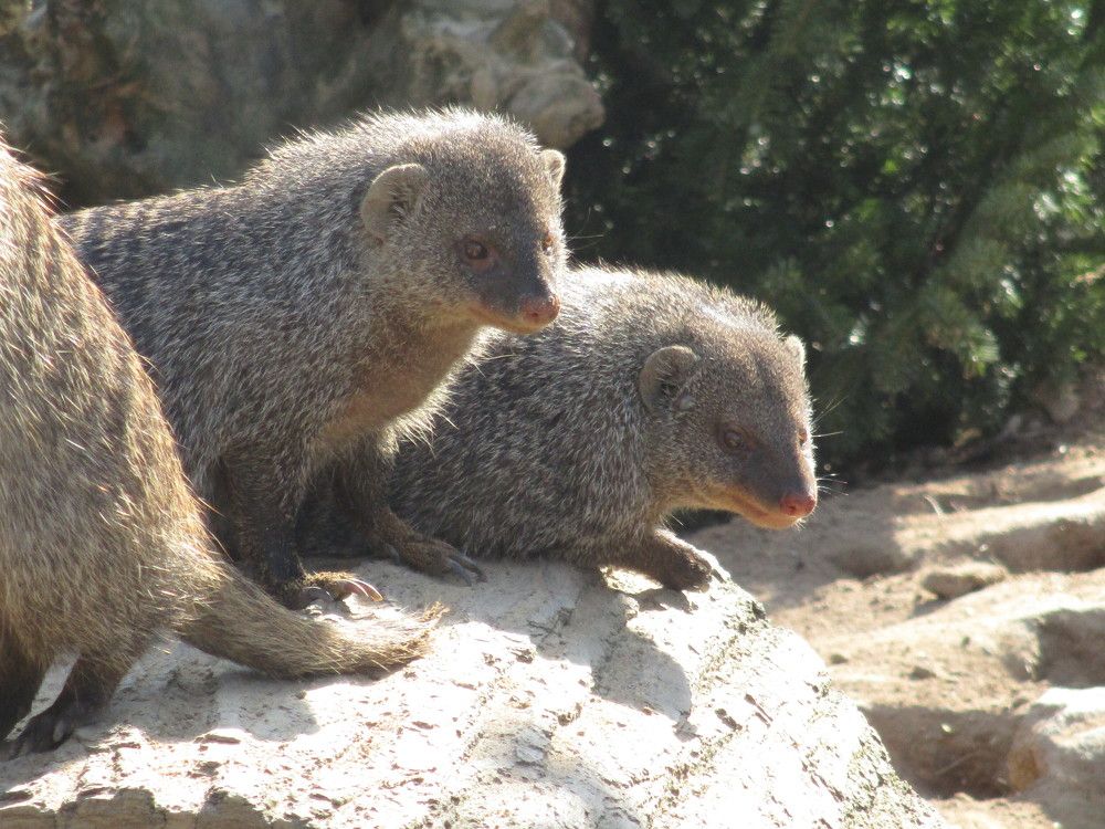 Фотография автора Lizuza