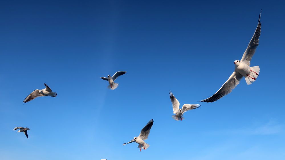 Photograph by Ольга Стоун