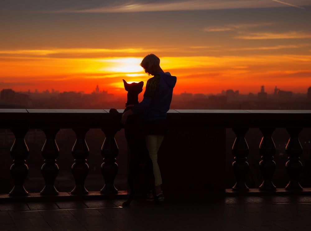 Photograph by Юлия Болдинова