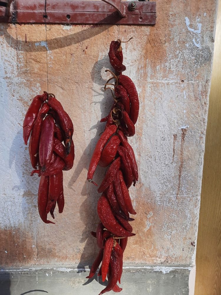 Photograph by Елена Симонова