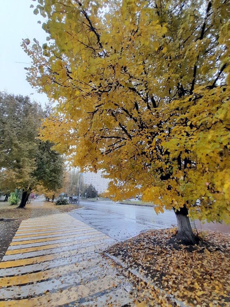 Photograph by Кирилл Огинов