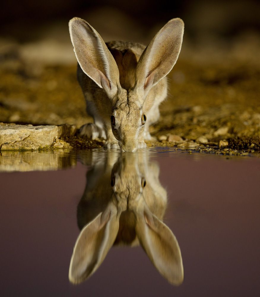 Photograph by David Manusevich