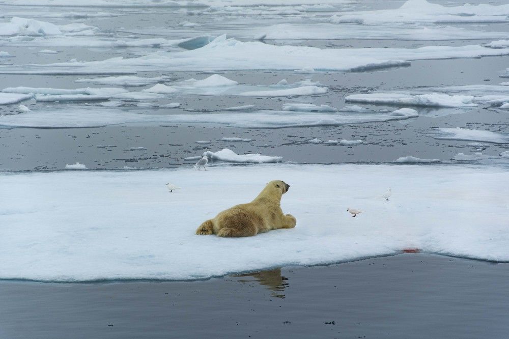 Photograph by Ованес Агарян