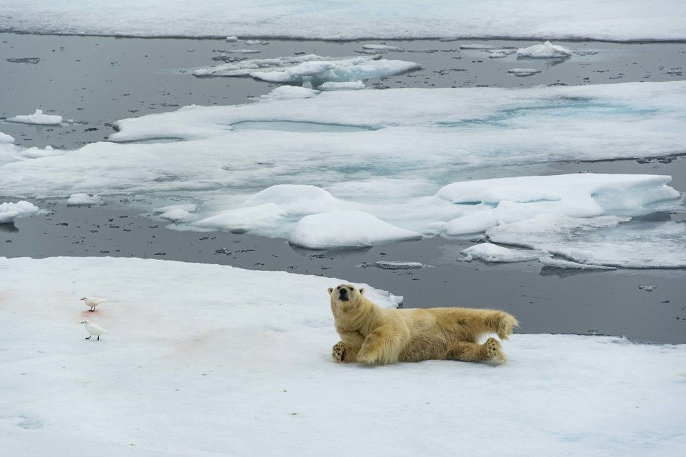 Photograph by Ованес Агарян