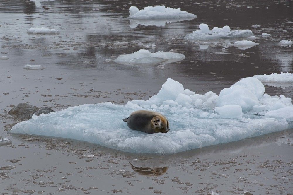 Photograph by Ованес Агарян