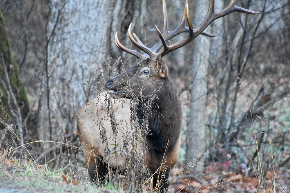 Photograph by Tyler Dewees