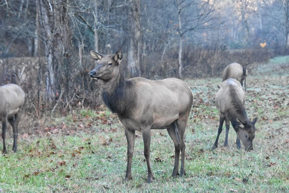 Photograph by Tyler Dewees