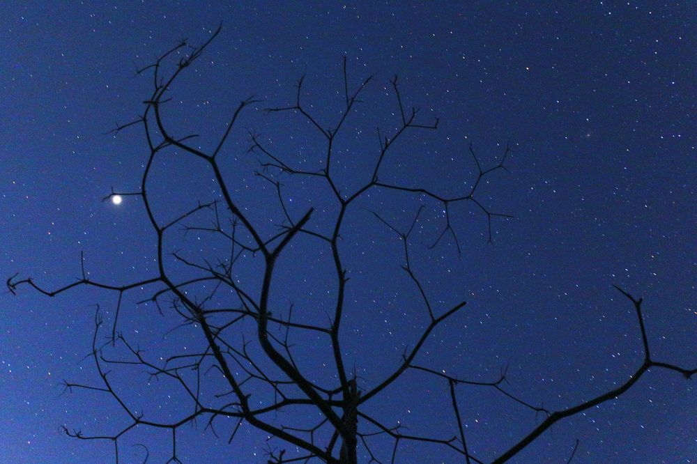 Photograph by MD RASED ROKON