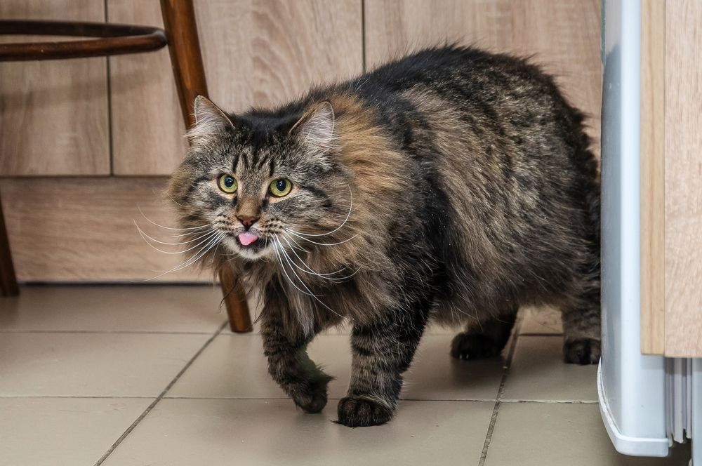 Photograph by Анна Василькова