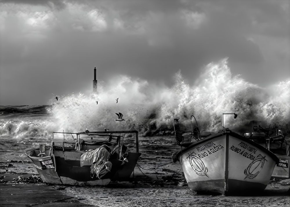 Фотография автора Nuno Pacheco