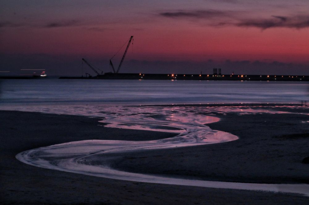 Фотография автора Nuno Pacheco