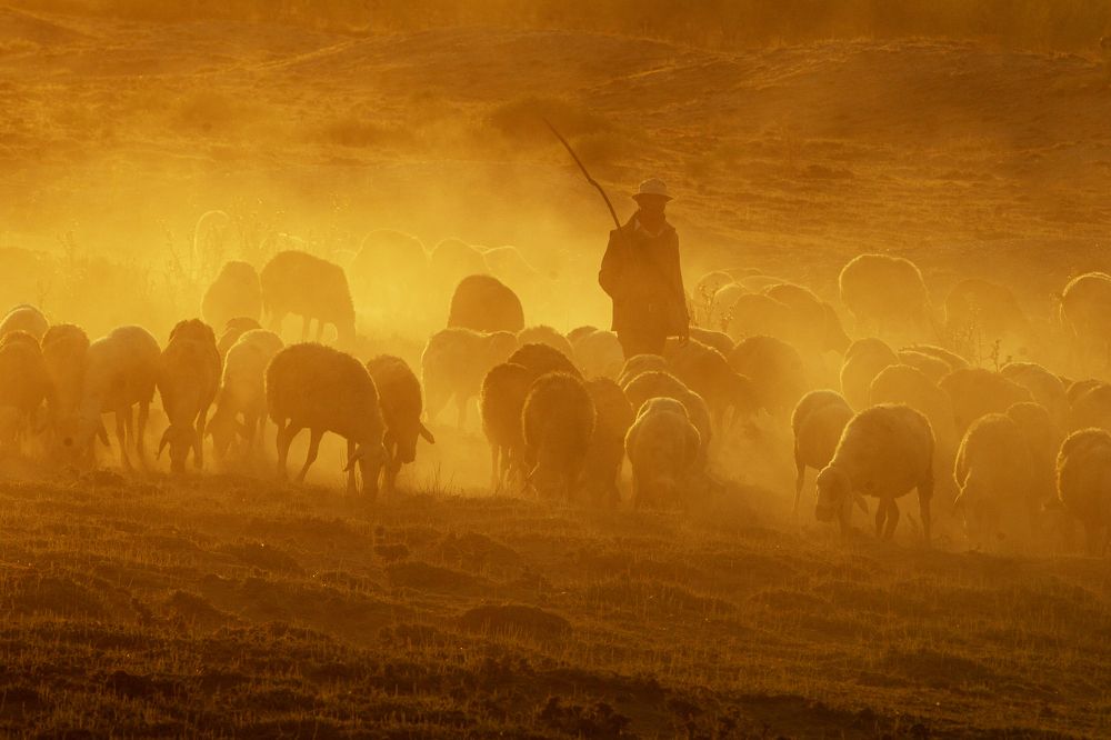 Фотография автора feyzullah Tunç