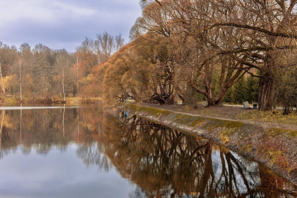 Photograph by Ольга Веретенникова