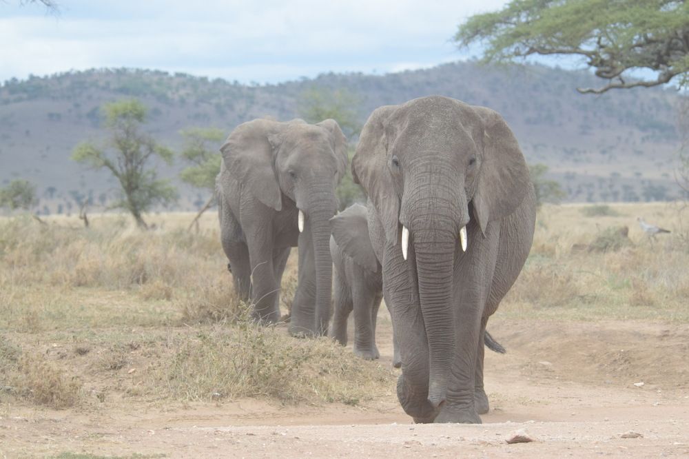 Photograph by Magassa Photography