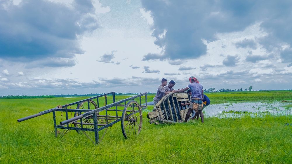 Photograph by Sameer Dash