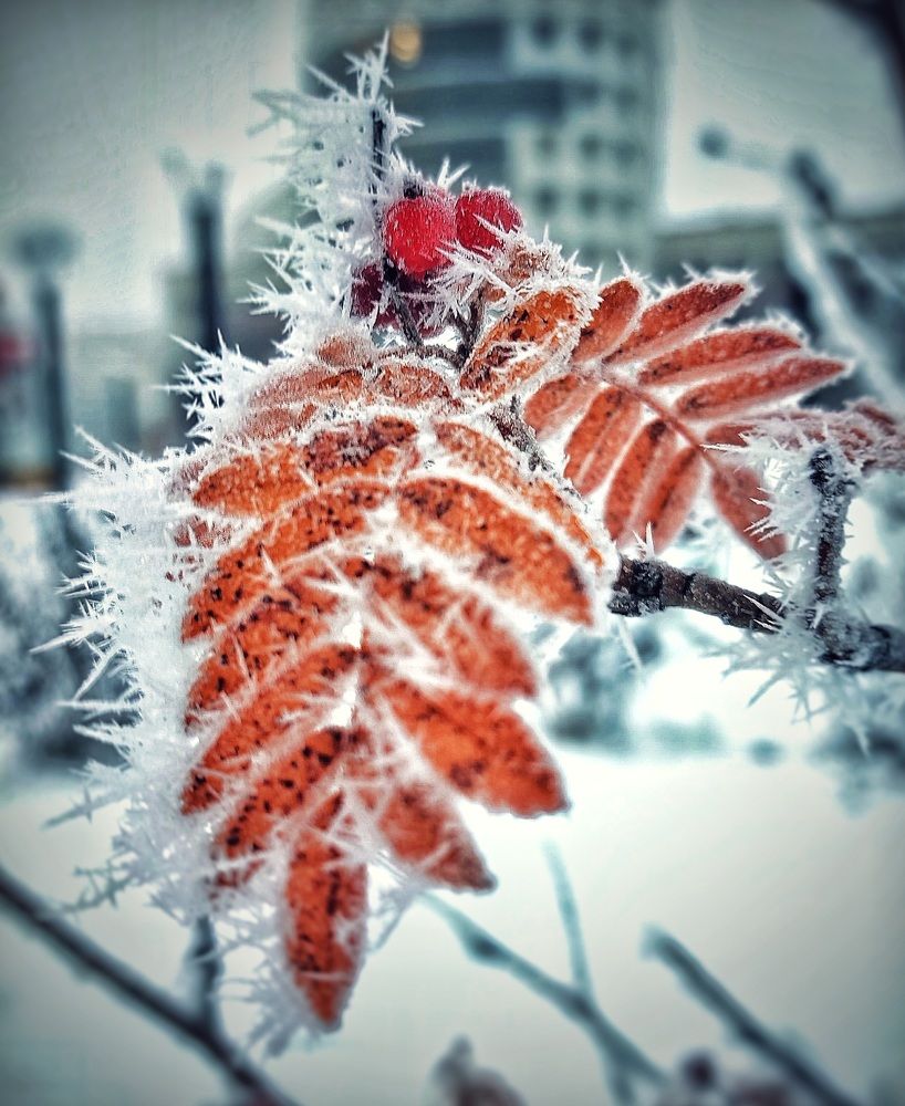 Photograph by Александр Бакин