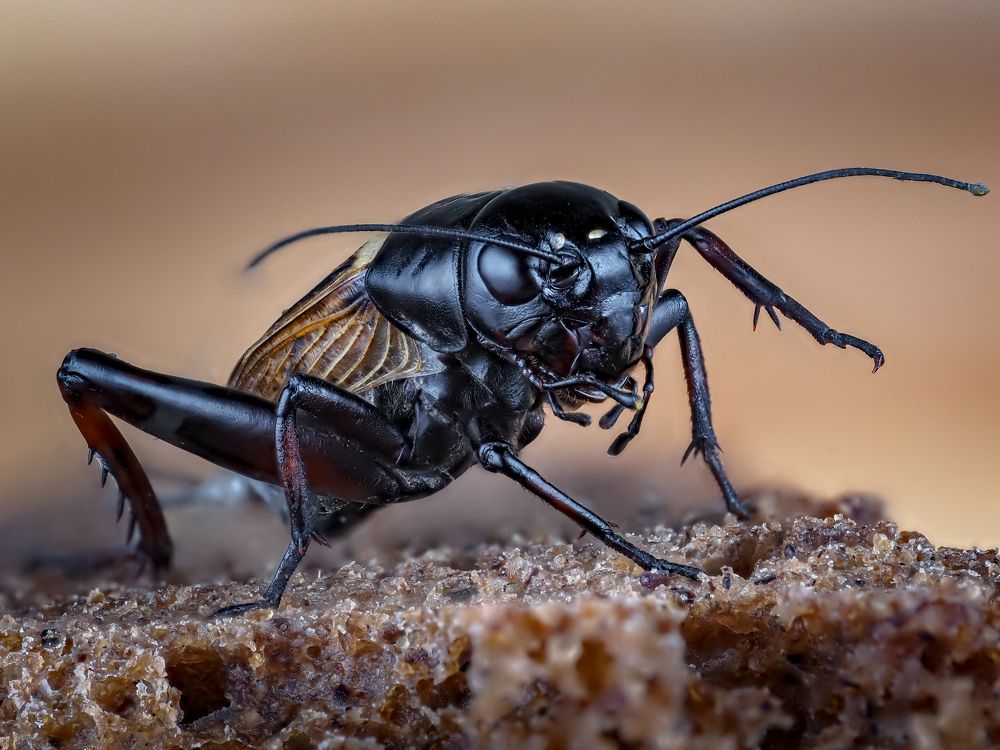 Photograph by савицкий олег