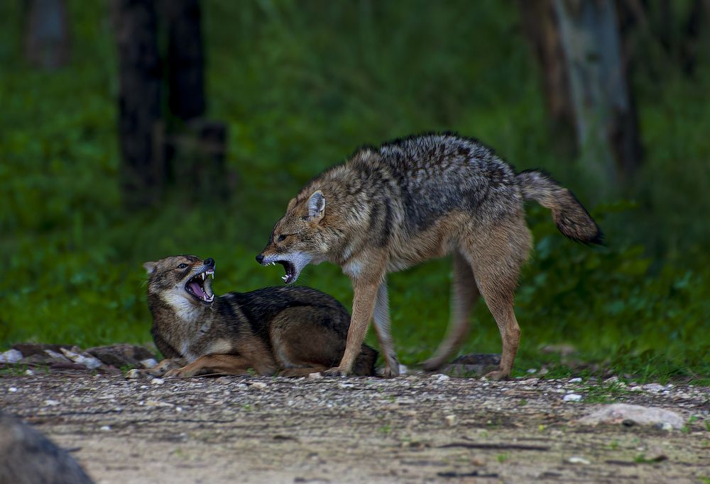 Фотография автора Amromin Alexander