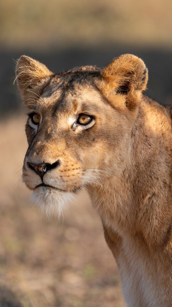 Photograph by João Paulo de Oliveira Freitas