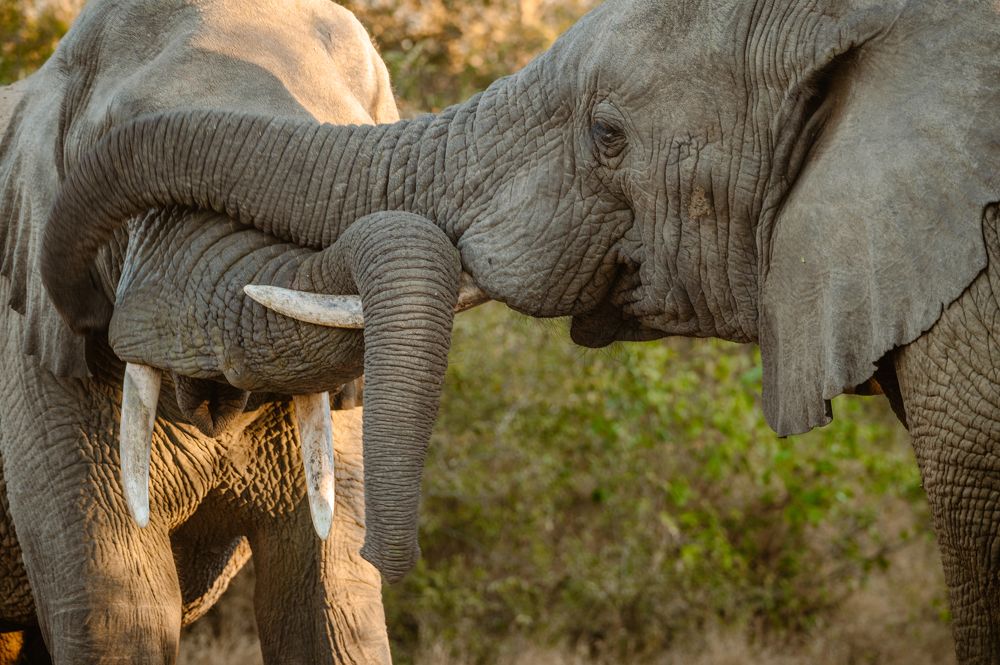 Photograph by João Paulo de Oliveira Freitas