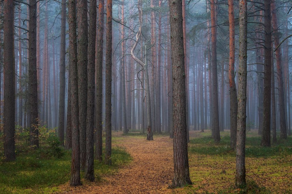 Photograph by Еремеев М.