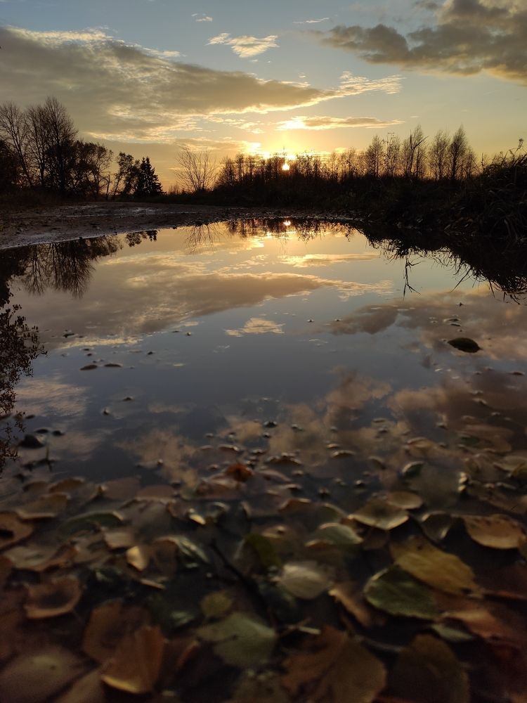 Фотография автора Юлия Самавичюте