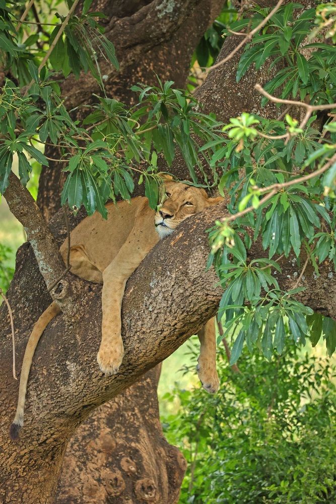 Photograph by Dimitar Nedelchev