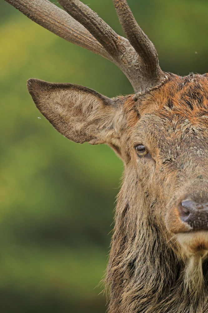 Photograph by Dimitar Nedelchev