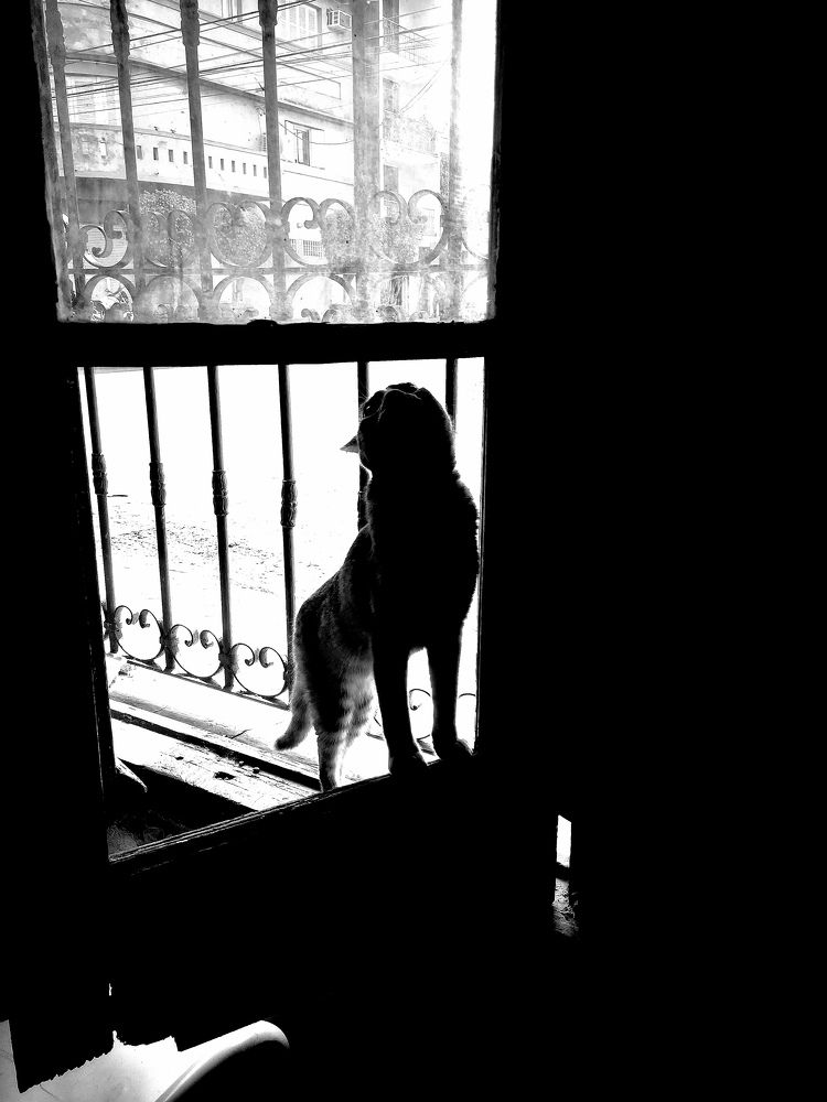 Photograph by Hugo Fernández