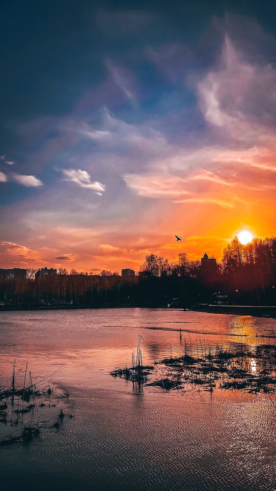 Photograph by Ольга