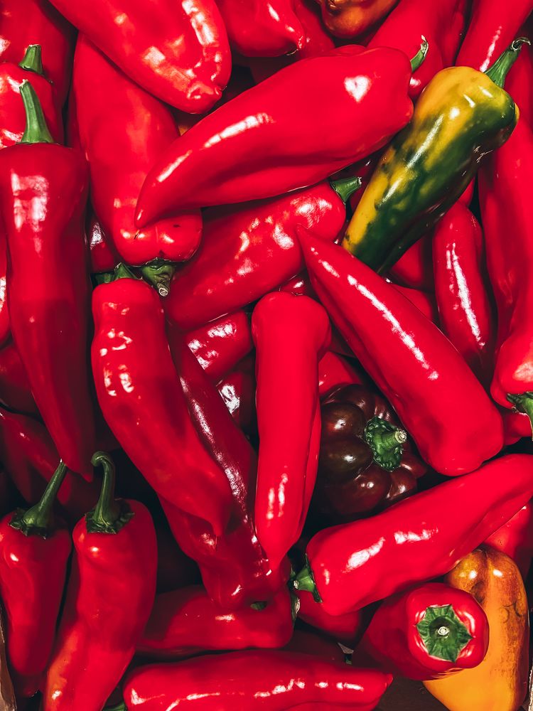 Photograph by Ольга