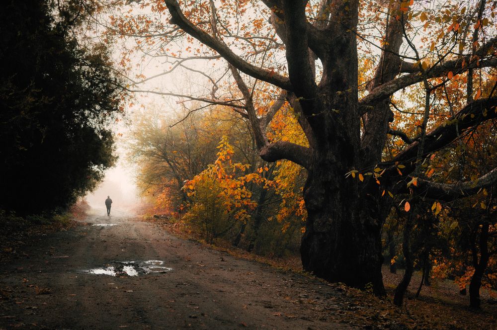 Фотография автора Oleg Suhenko