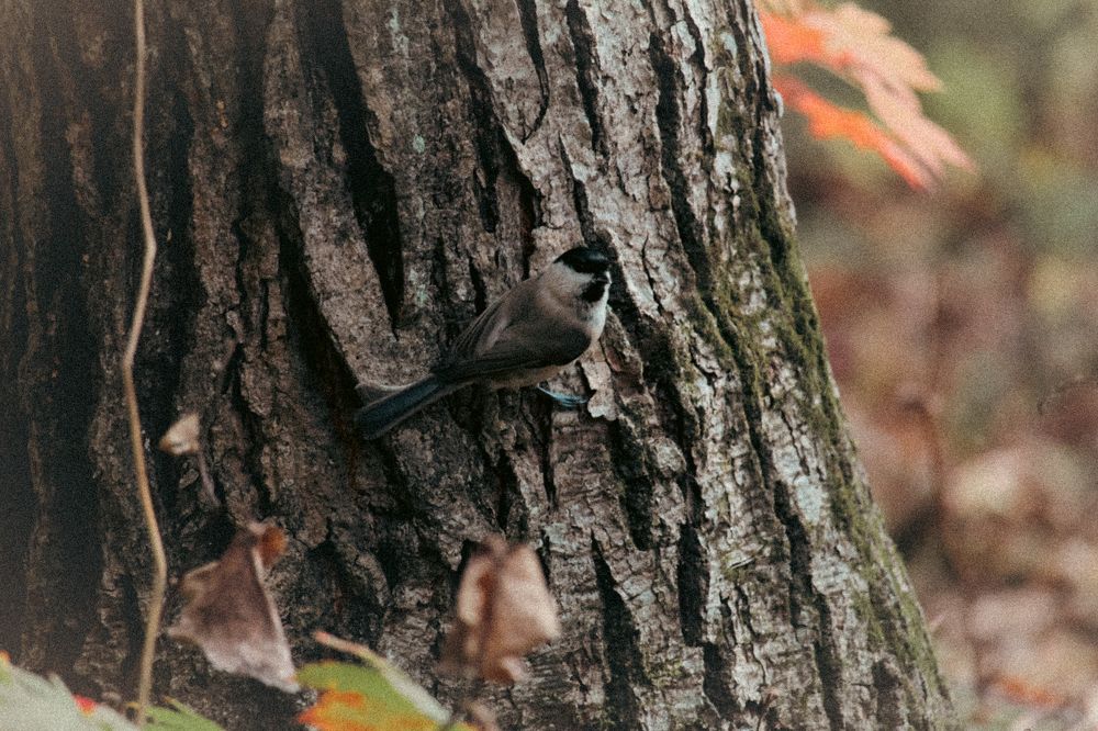 Photograph by Артур Эльдарион