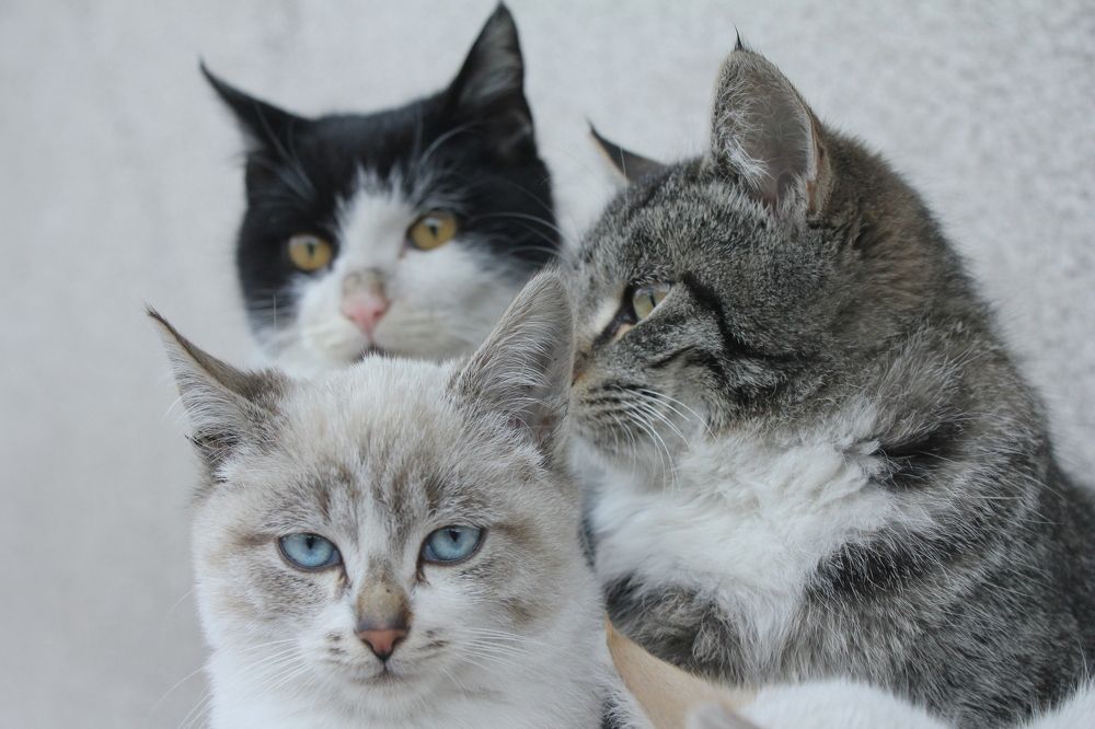 Photograph by Игорь Яснов