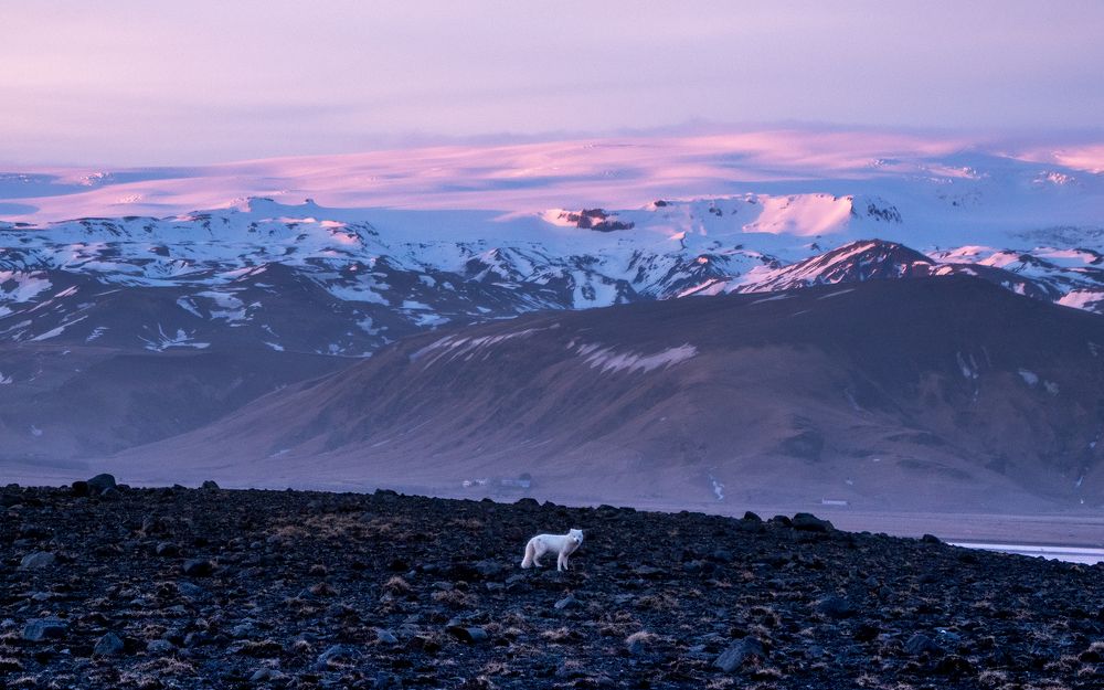 Photograph by Eilidh MacKenzie