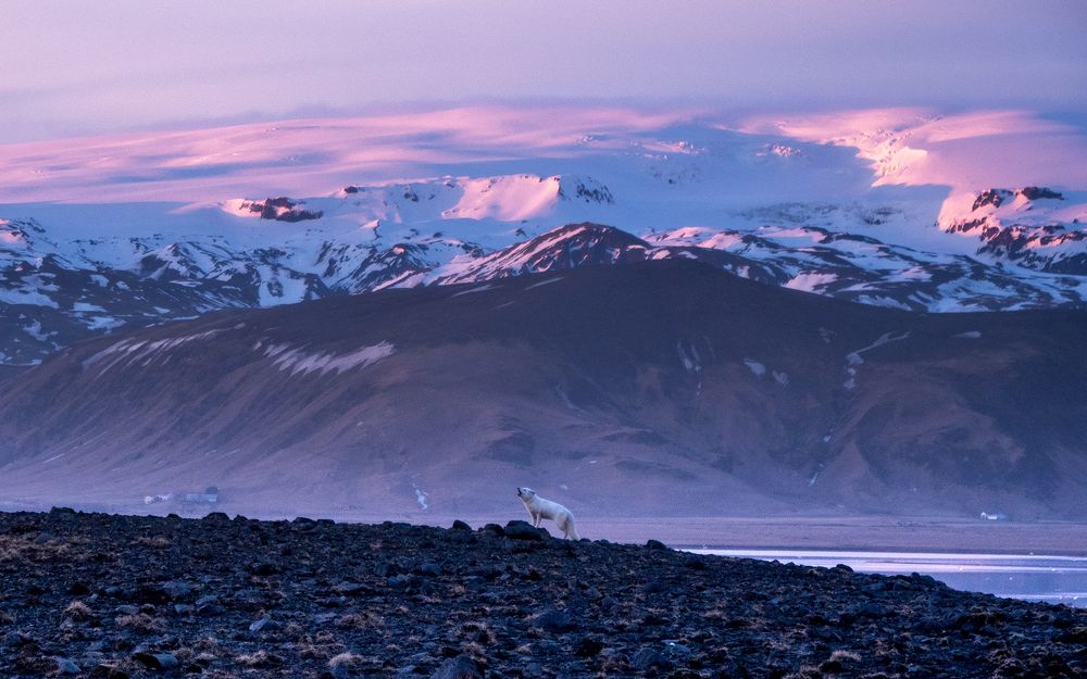 Photograph by Eilidh MacKenzie