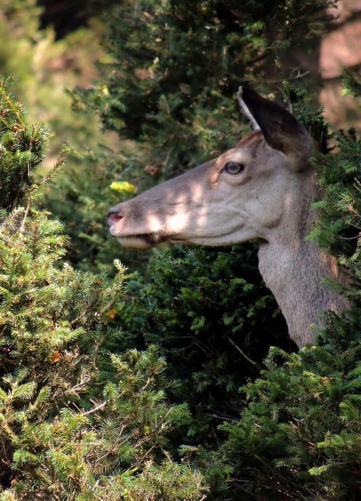 Photograph by Савоцкий Роман