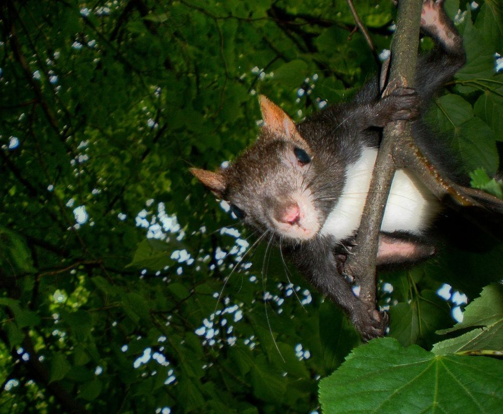 Photograph by Савоцкий Роман