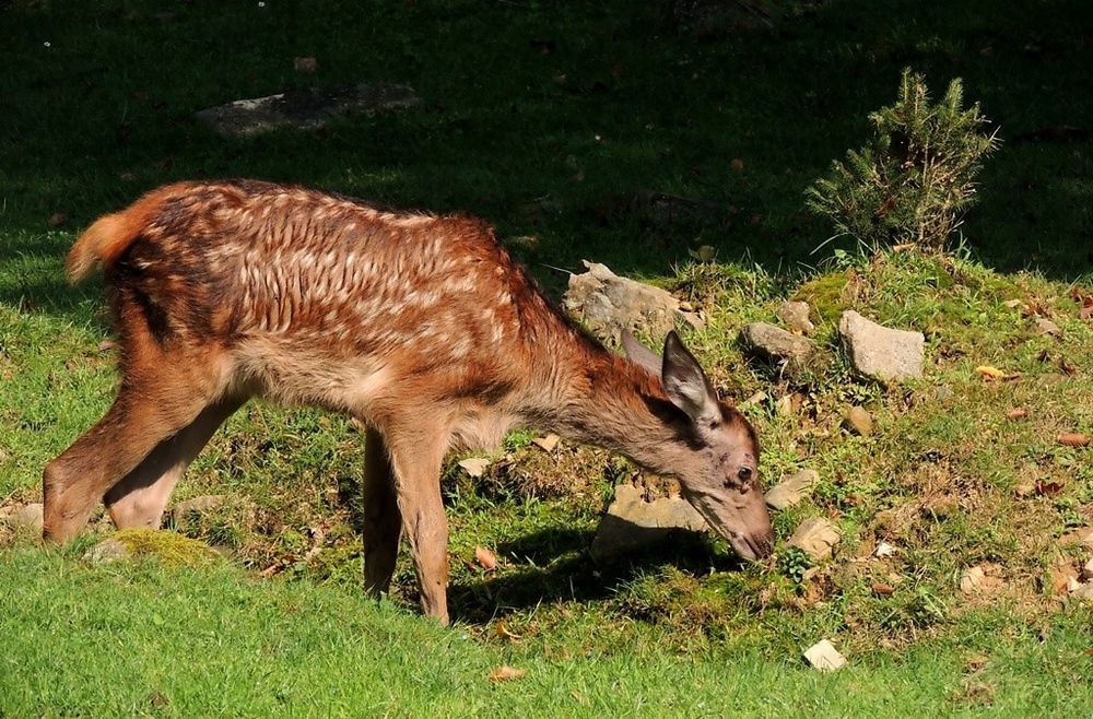 Фотография автора Роман Савоцкий